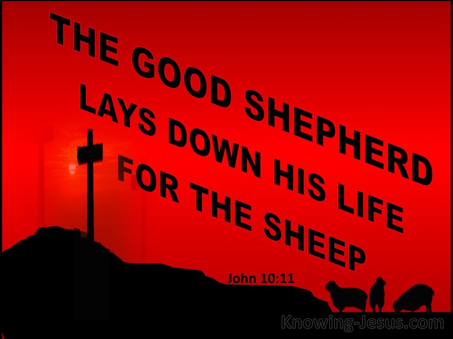 John 10:11 The Good Shepherd Lays Down His Life (red)